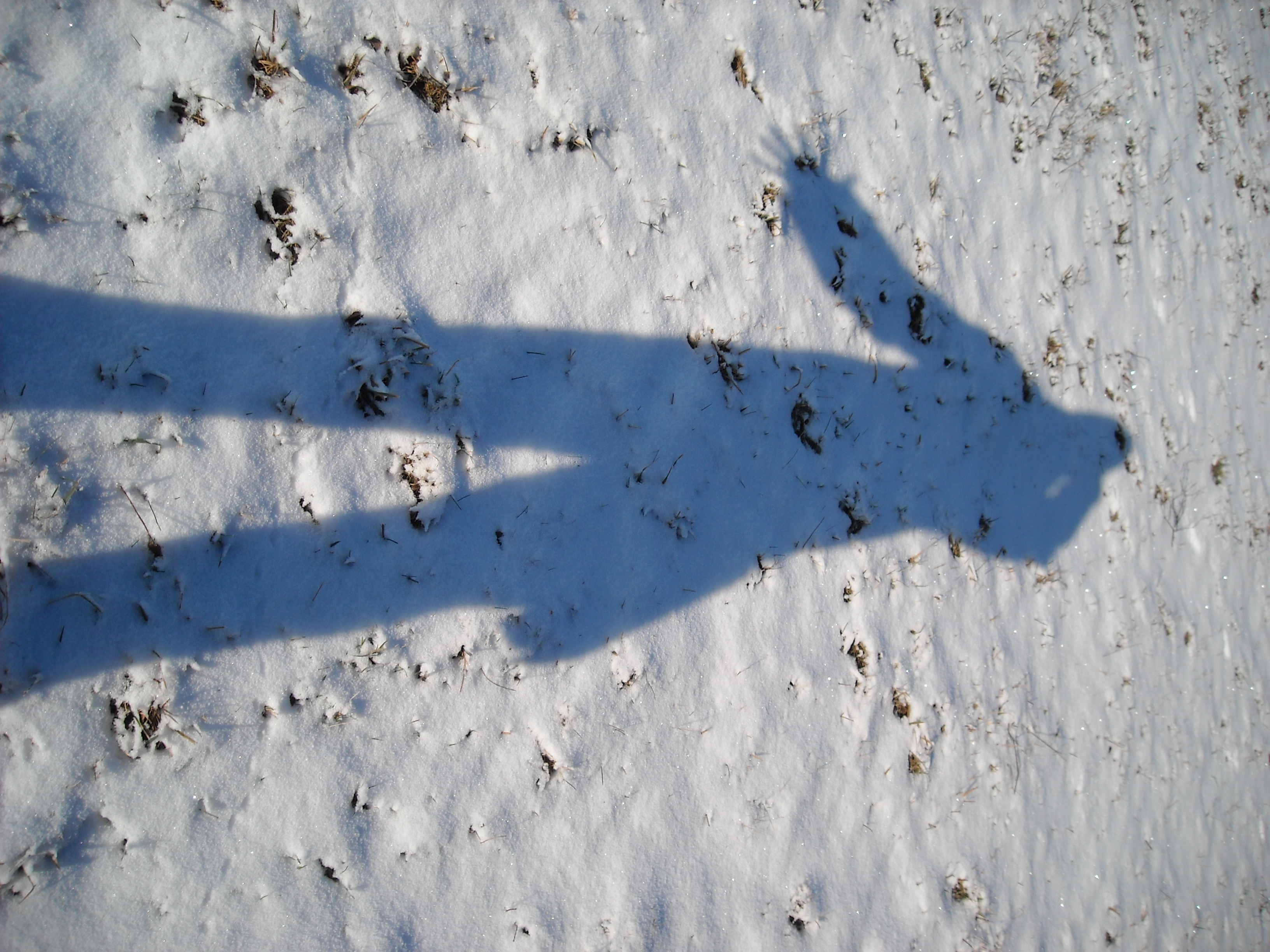 DSCN0281.JPG