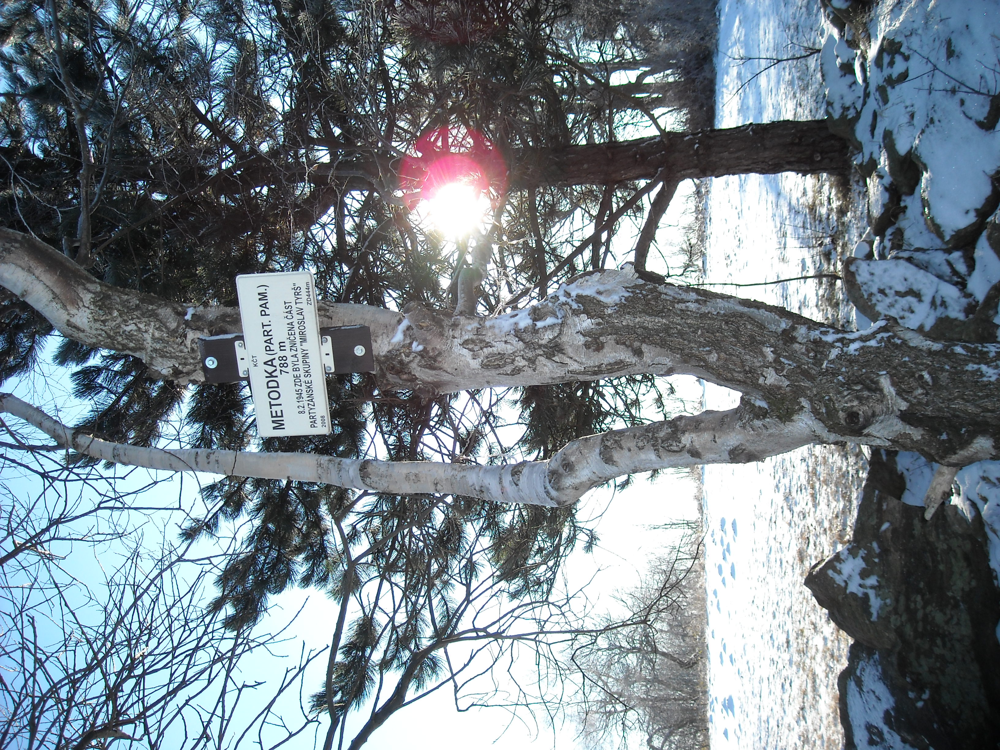 DSCN0300.JPG
