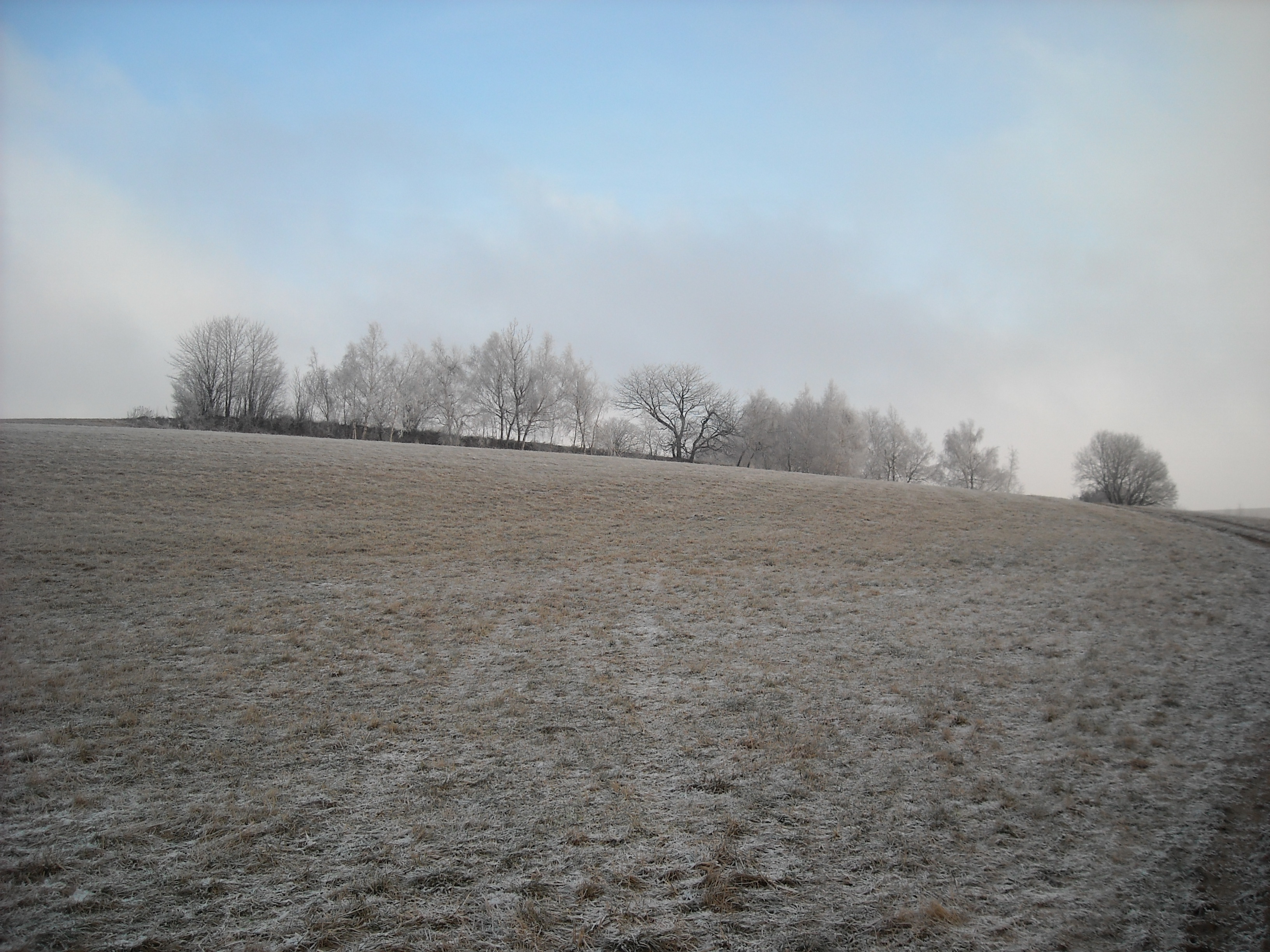 DSCN0372.JPG