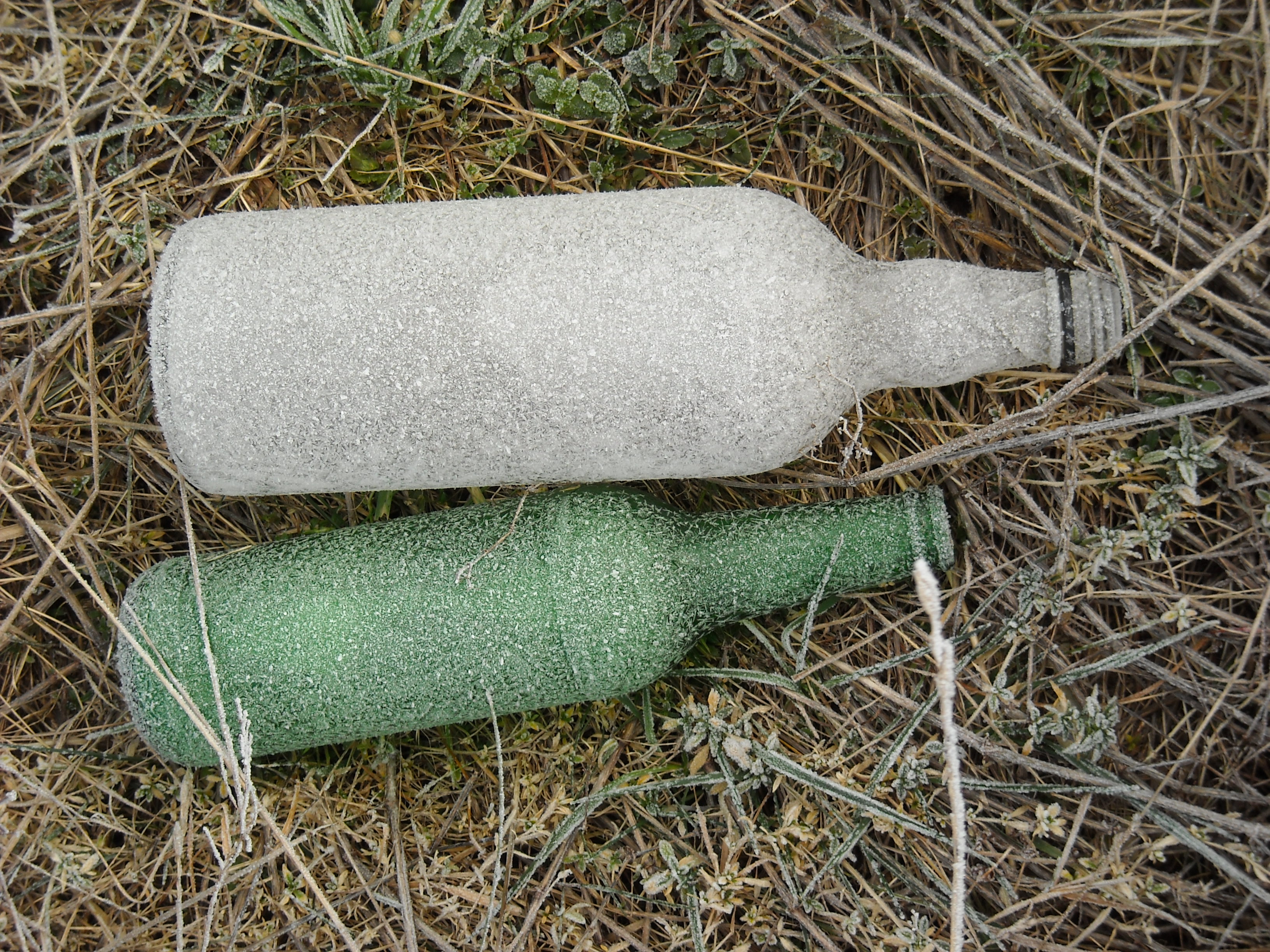 DSCN0373.JPG