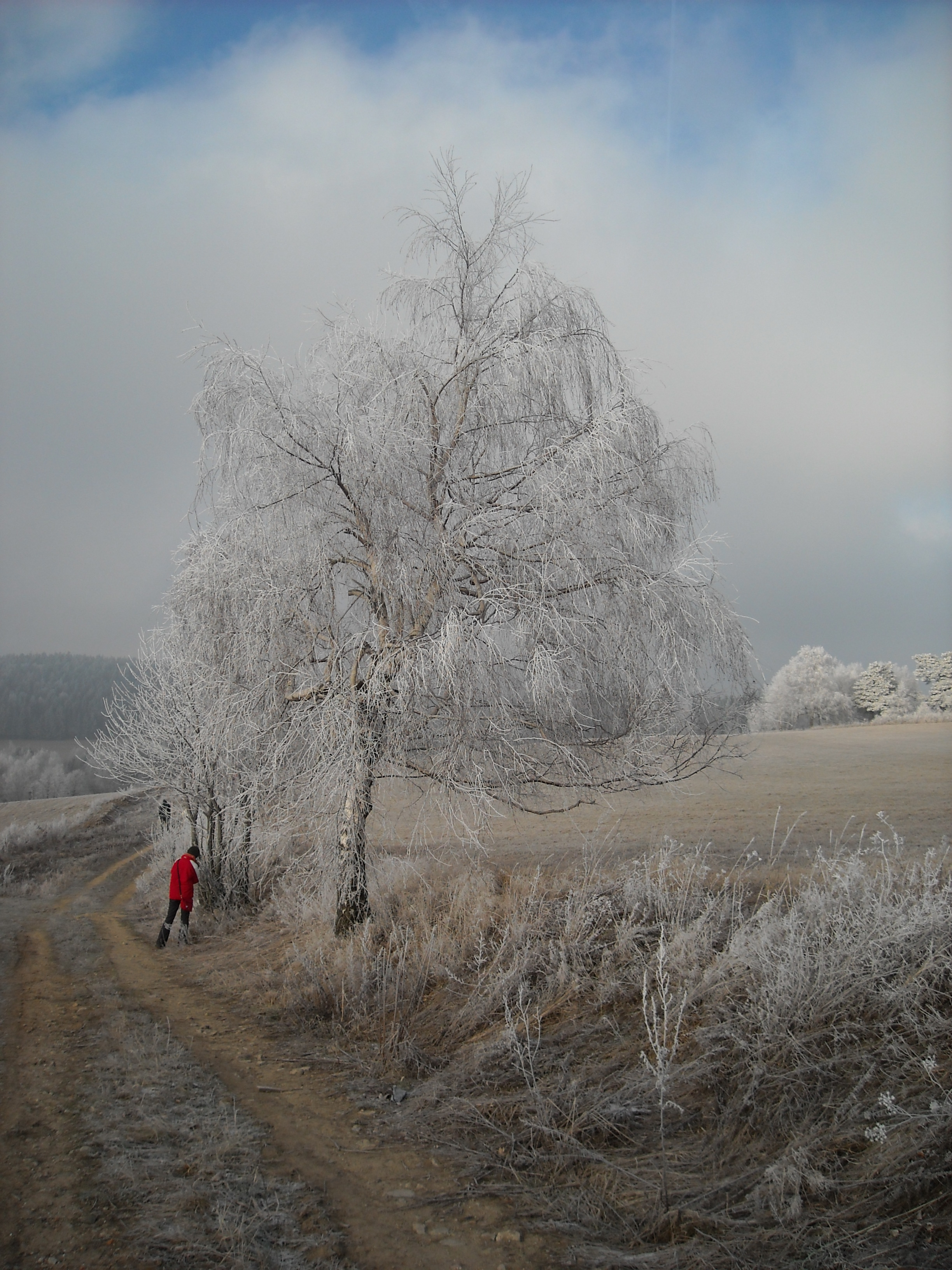 DSCN0374.JPG